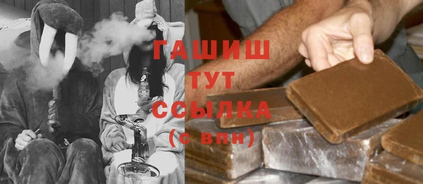 индика Ладушкин