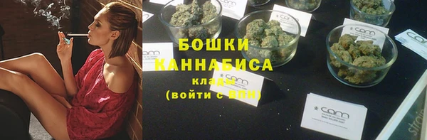тгк Лагань