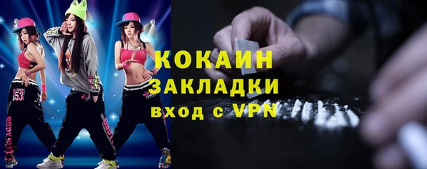 индика Ладушкин