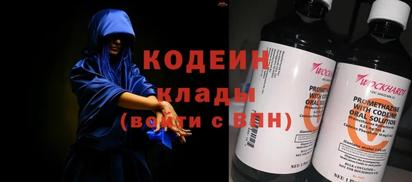 индика Ладушкин