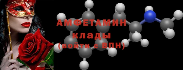 индика Ладушкин