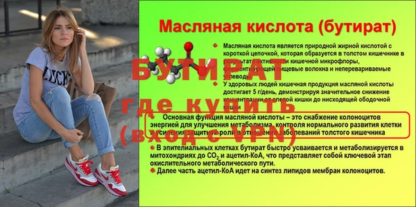 индика Ладушкин