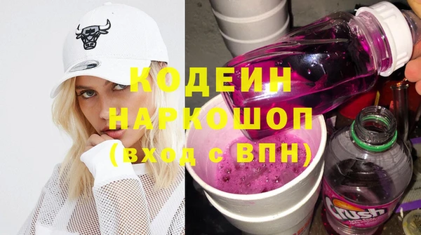 индика Ладушкин