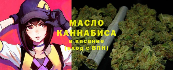 индика Ладушкин