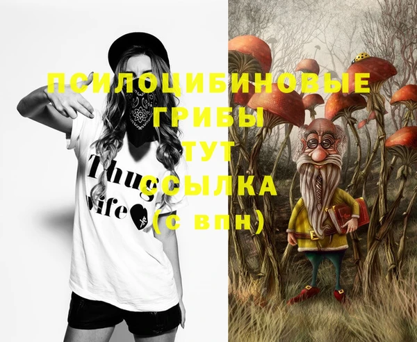 индика Ладушкин