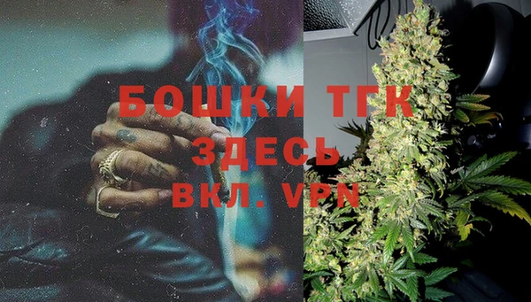 тгк Лагань