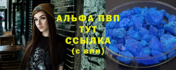 индика Ладушкин