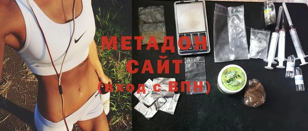 индика Ладушкин