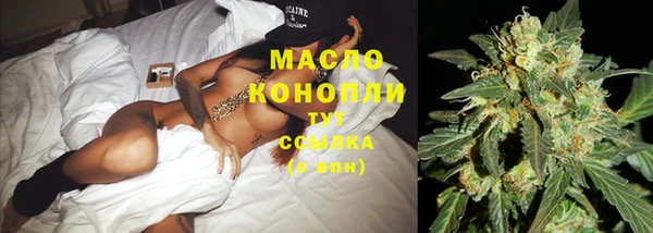 индика Ладушкин
